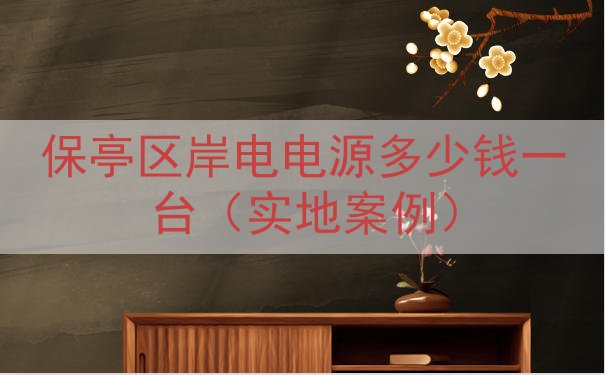 保亭区岸电电源多少钱一台（实地案例）